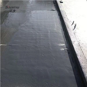 Hreint pólýúrea bílskúr gólfhúðun